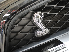 福特野马shelby gt50其它细节 tremec tr6060六速手动变速箱高清图片